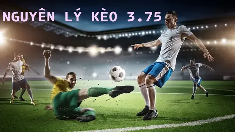 Tuyệt Chiêu Đánh Kèo 3.75 Giúp Bạn Tối Ưu Hóa Lợi Nhuận Trong Trận Đấu