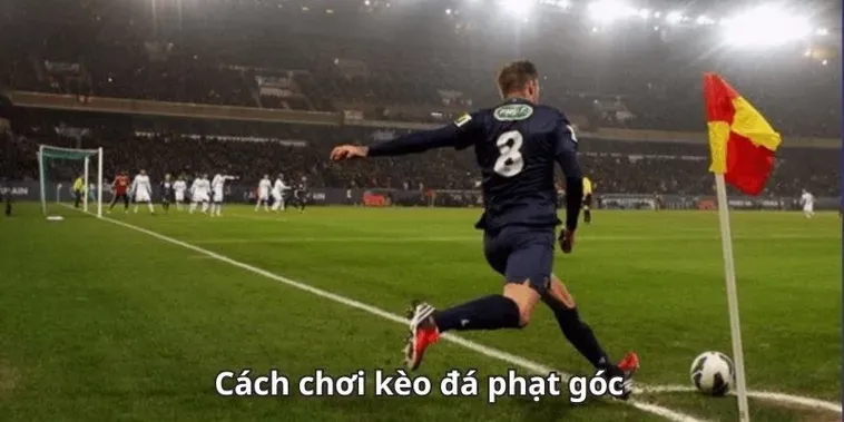 Những Chiến Thuật Đặt Cược Kèo Phạt Góc Bóng Đá Đỉnh Cao Cho Người Chơi