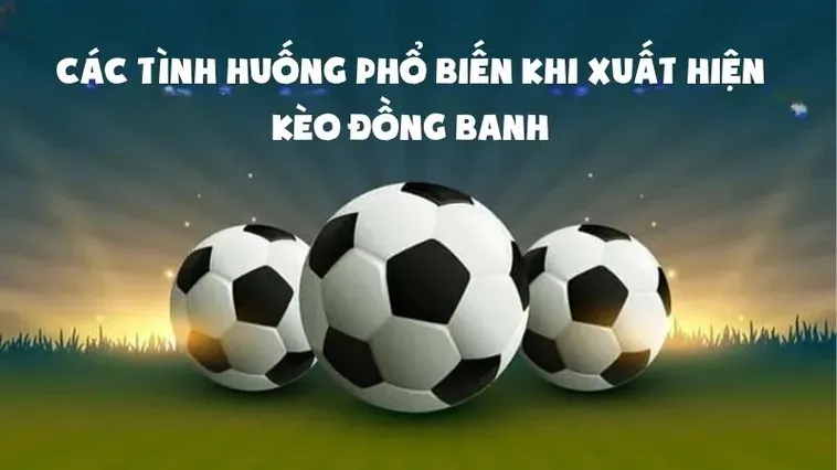 Những Chiến Thuật Đặt Cược Kèo Đồng Banh Đỉnh Cao Cho Người Chơi Mới