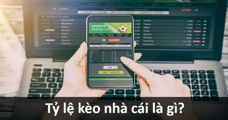 Hướng Dẫn Chi Tiết Các Loại Kèo Bóng Đá Phổ Biến Nhất Dành Cho Người Chơi