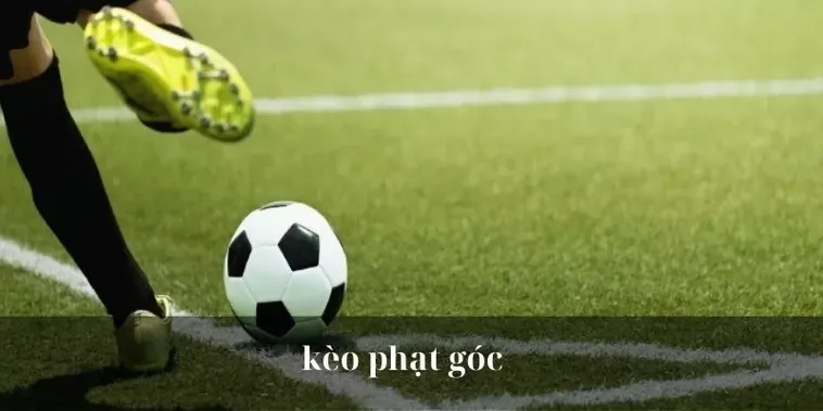 Những Chiến Thuật Đặt Cược Kèo Phạt Góc Bóng Đá Đỉnh Cao Cho Người Chơi