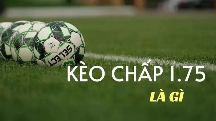 Chiến Thuật Đánh Kèo Chấp 1.75 Mang Lại Lợi Nhuận Đột Phá Cho Mọi Người Chơi